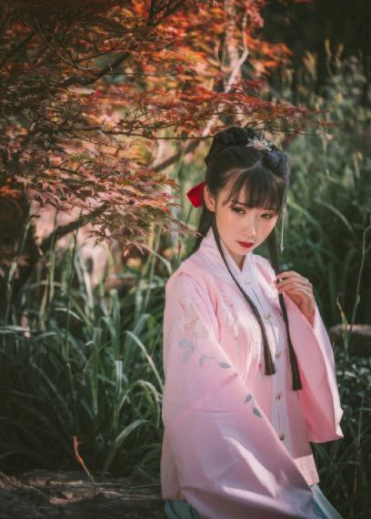 石纪元 动漫